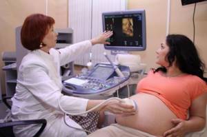 3D ultrasound with Doppler in St. Petersburg