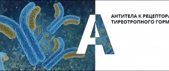 Антитела к рецепторам тиреотропного гормона