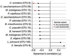 Bacterial taxa in the microbiome and resistance to clostridia infection