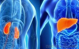 Kidney and liver diseases