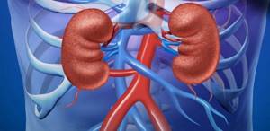 Kidney disease and urea levels