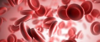 Functions of red blood cells - transport of oxygen and 5 more important purposes of red blood cells