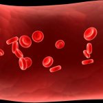 Hemoglobin in the blood: norm and causes of deviations