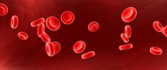 Hemoglobin in the blood: norm and causes of deviations