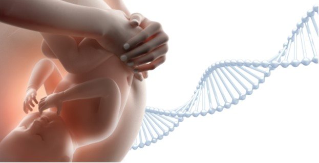 Genetic analysis in prenatal diagnosis