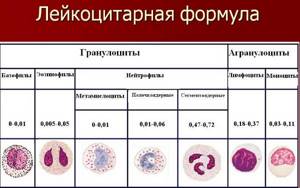 GRA in blood test. What is it, explanation, the norm for women, children, men. What does it mean to do 
