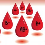 группа крови
