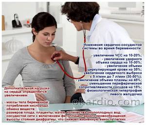 изменения сердечно-сосудистой системы во время беременности
