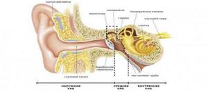 CT ear