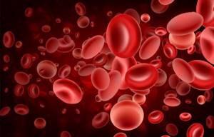 Medicines to raise red blood cells in the blood. The best drugs 