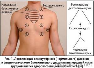 Localization of normal breathing