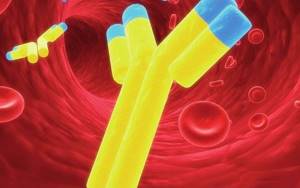 Negative PCR and antibody test