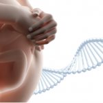 prenatal screening of the fetus during pregnancy | IPF 