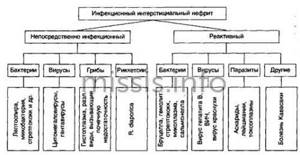 Причины развития острого нефрита