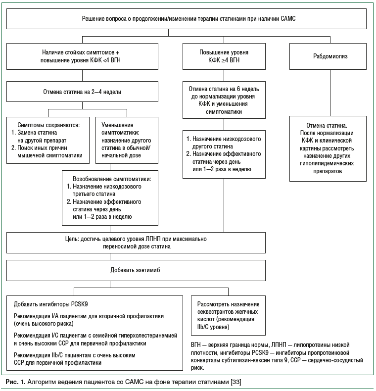 Rice. 1. Algorithm for the management of patients with SAMS during statin therapy [33] 