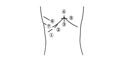 Diagram of sensor positions when scanning the liver