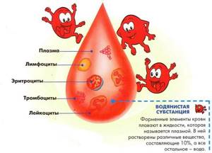 Blood composition