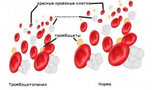platelet normal table