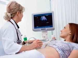 ultrasound of the uterus after childbirth