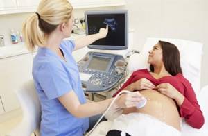 Ultrasound by week of pregnancy