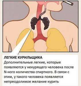 Smoker&#39;s second lungs