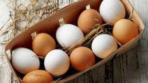 Eggs are rich in proteins